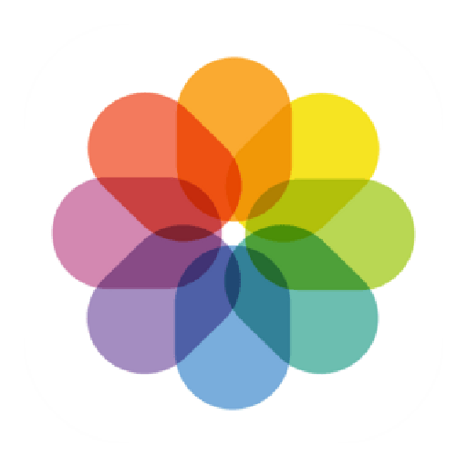 Logo App Instagram